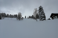 Winterwanderung 2019-020