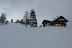 Winterwanderung 2019-021