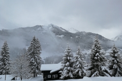 Winterwanderung 2019-023