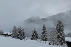 Winterwanderung 2019-025