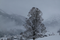 Winterwanderung 2019-027