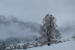 Winterwanderung 2019-028