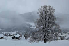 Winterwanderung 2019-030