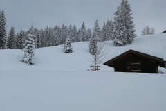 Winterwanderung 2019-032