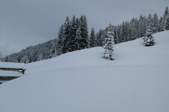 Winterwanderung 2019-033