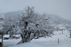 Winterwanderung 2019-035