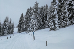 Winterwanderung 2019-036