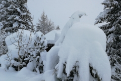 Winterwanderung 2019-044