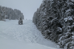 Winterwanderung 2019-046
