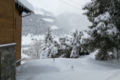 Winterwanderung 2019-047