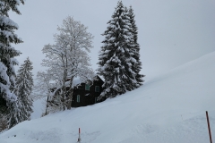 Winterwanderung 2019-048