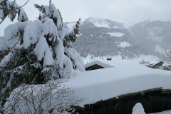 Winterwanderung 2019-049