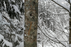 Winterwanderung 2019-053