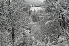 Winterwanderung 2019-054