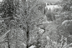 Winterwanderung 2019-055
