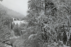 Winterwanderung 2019-056