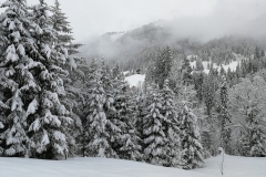 Winterwanderung 2019-057