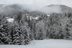 Winterwanderung 2019-058