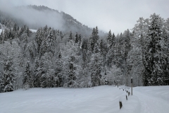 Winterwanderung 2019-059