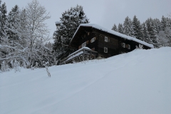 Winterwanderung 2019-060