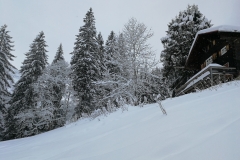 Winterwanderung 2019-061