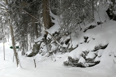 Winterwanderung 2019-062