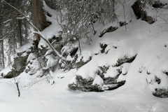 Winterwanderung 2019-063