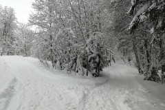 Winterwanderung 2019-064