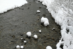 Winterwanderung 2019-068