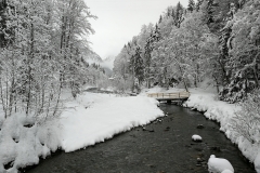 Winterwanderung 2019-069