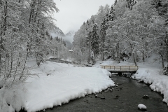 Winterwanderung 2019-070