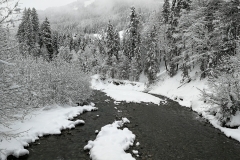 Winterwanderung 2019-071