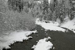 Winterwanderung 2019-072