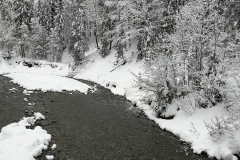 Winterwanderung 2019-073