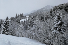 Winterwanderung 2019-075