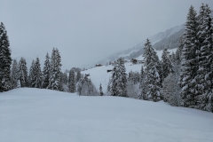 Winterwanderung 2019-077