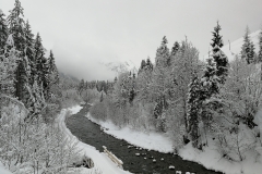 Winterwanderung 2019-082