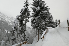 Winterwanderung 2019-093