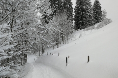Winterwanderung 2019-096