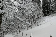 Winterwanderung 2019-098