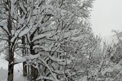 Winterwanderung 2019-108