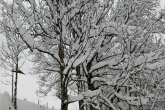 Winterwanderung 2019-109