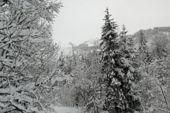 Winterwanderung 2019-110