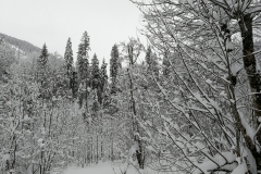 Winterwanderung 2019-112