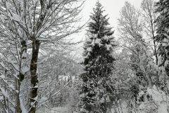 Winterwanderung 2019-113