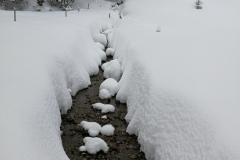 Winterwanderung 2019-114
