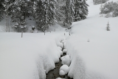 Winterwanderung 2019-115