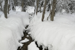 Winterwanderung 2019-117