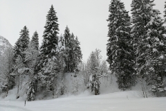 Winterwanderung 2019-118