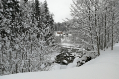 Winterwanderung 2019-119